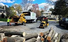 Best Hedge Trimming  in Waverly, IL